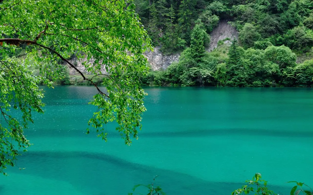 稳定性高精度高端